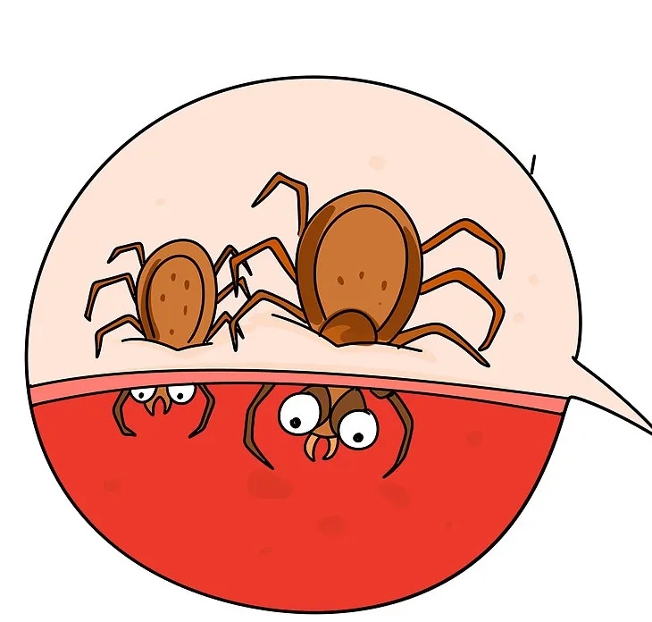 640.webp (2).jpg
