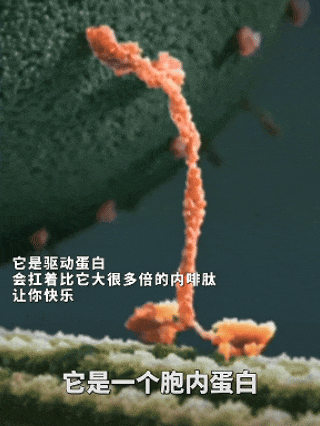 640 (1).gif