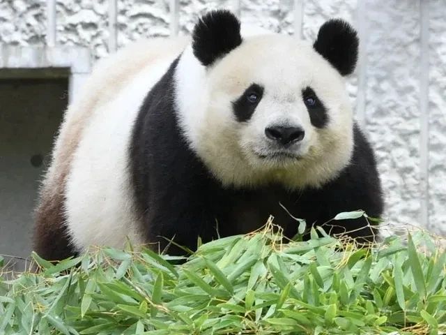 微信图片_20250627085355.jpg