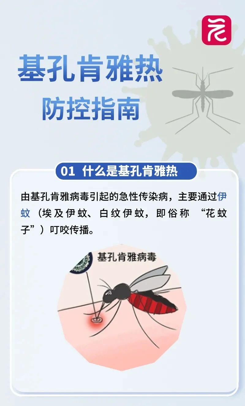 微信图片_20250724150718.jpg
