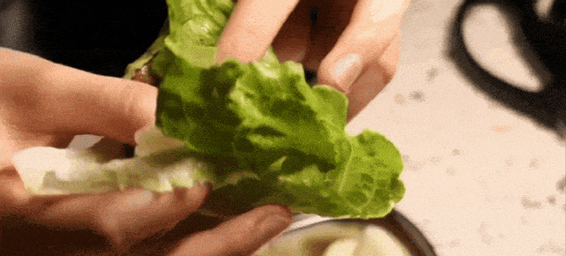 微信图片_20250804153752.gif