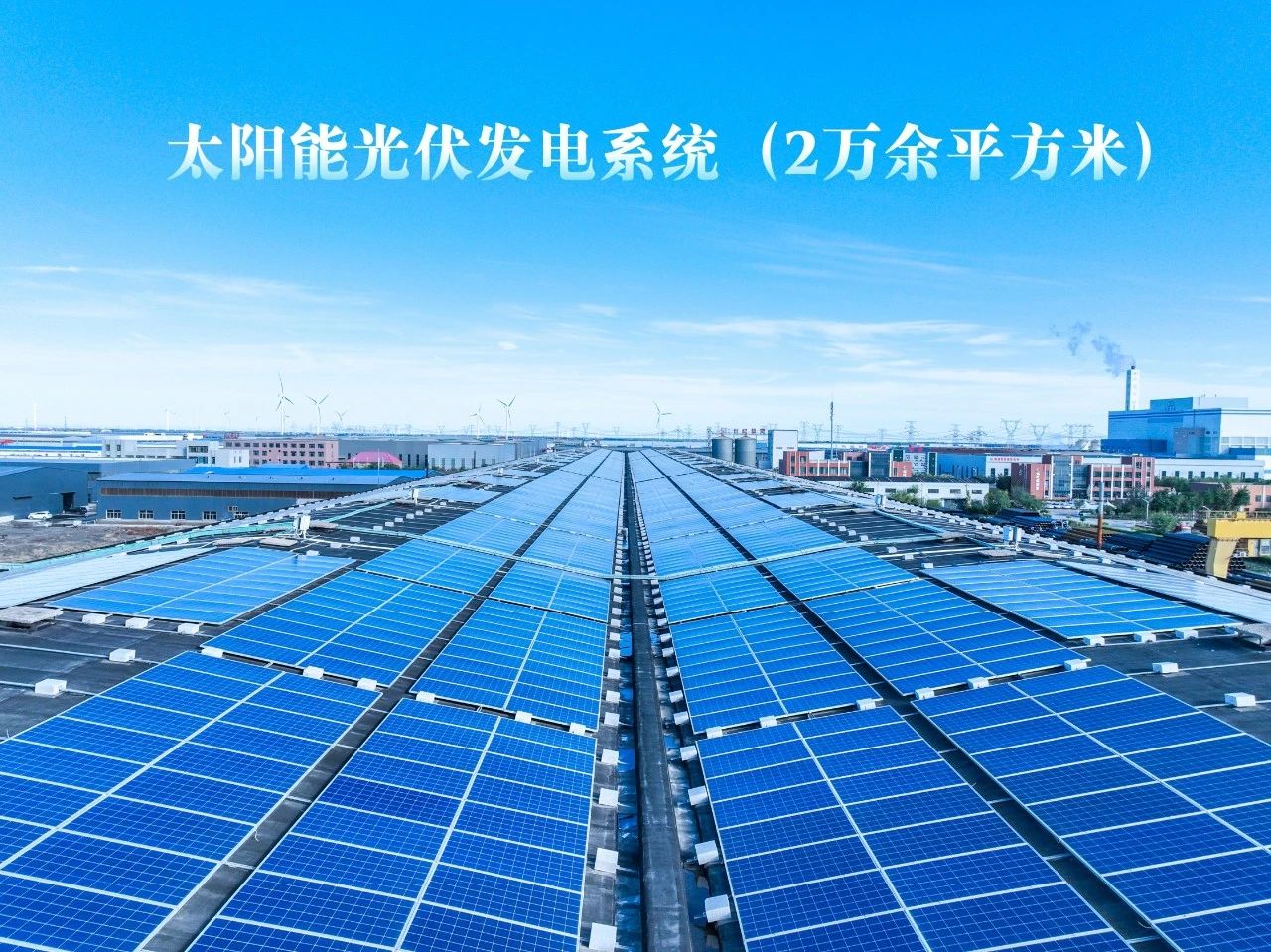 微信图片_2025-08-25_110104_546.jpg
