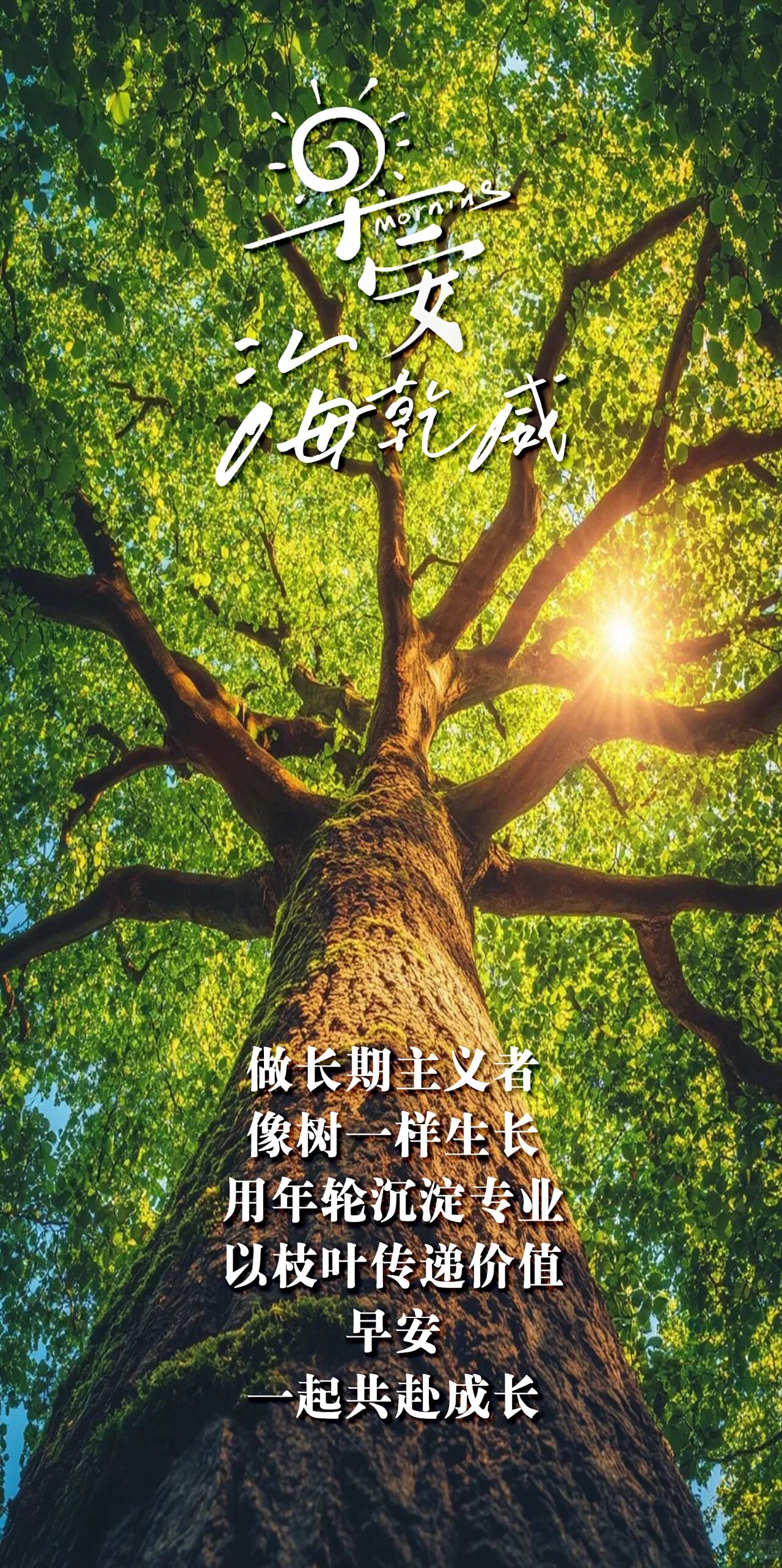 微信图片_2025-08-27_082215_886.jpg