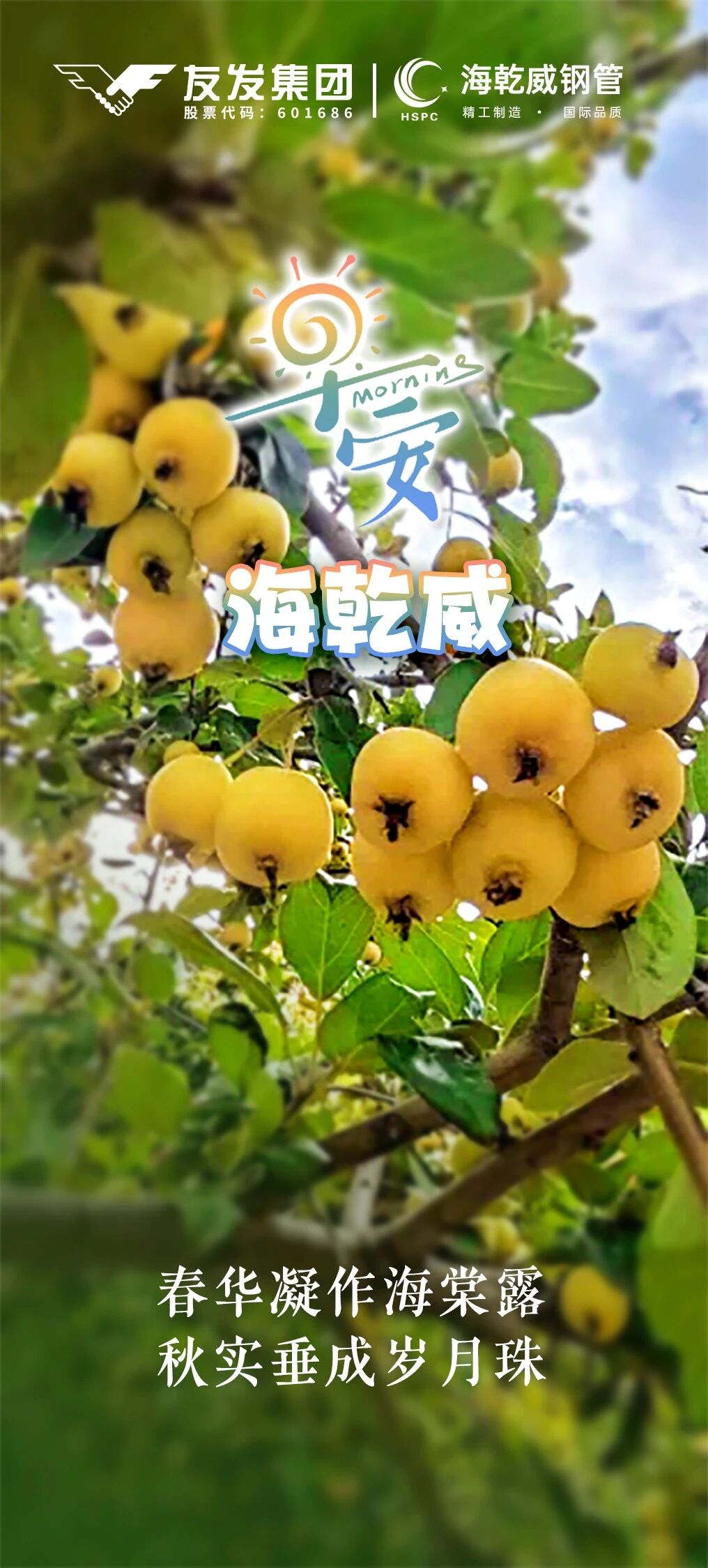 微信图片_2025-09-13_145251_809.jpg