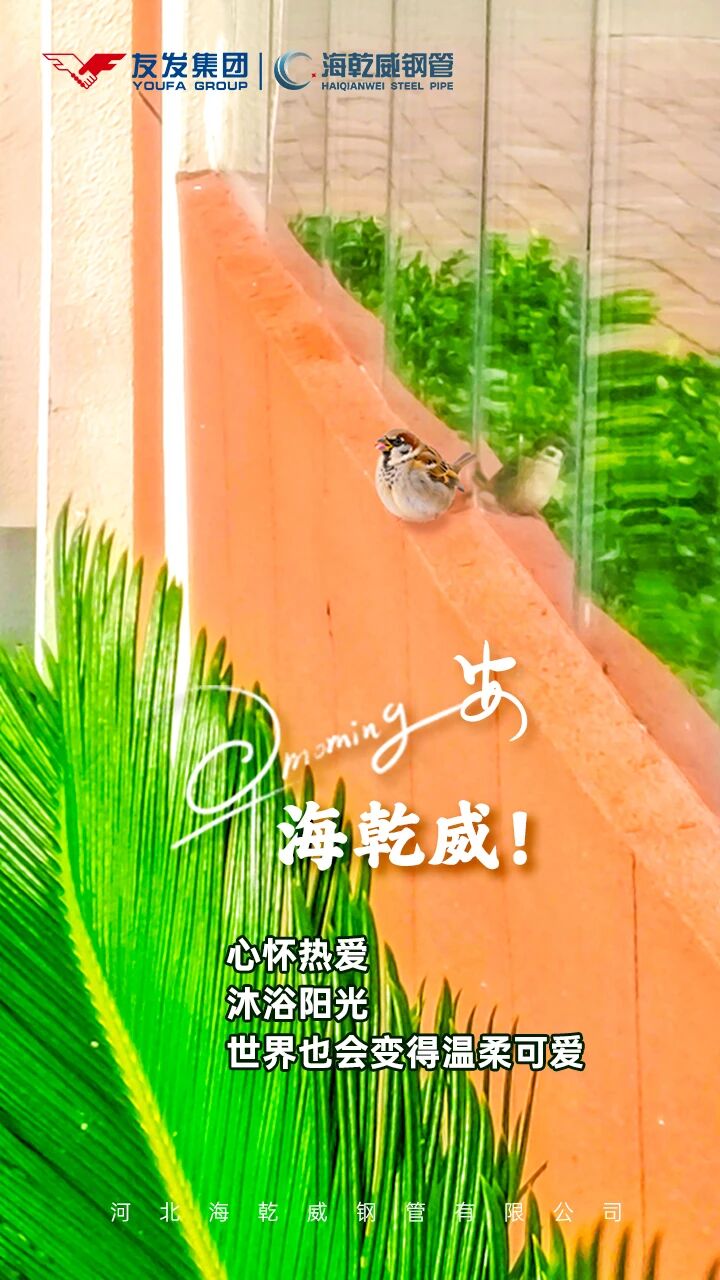 微信图片_2025-10-19_151336_398.jpg