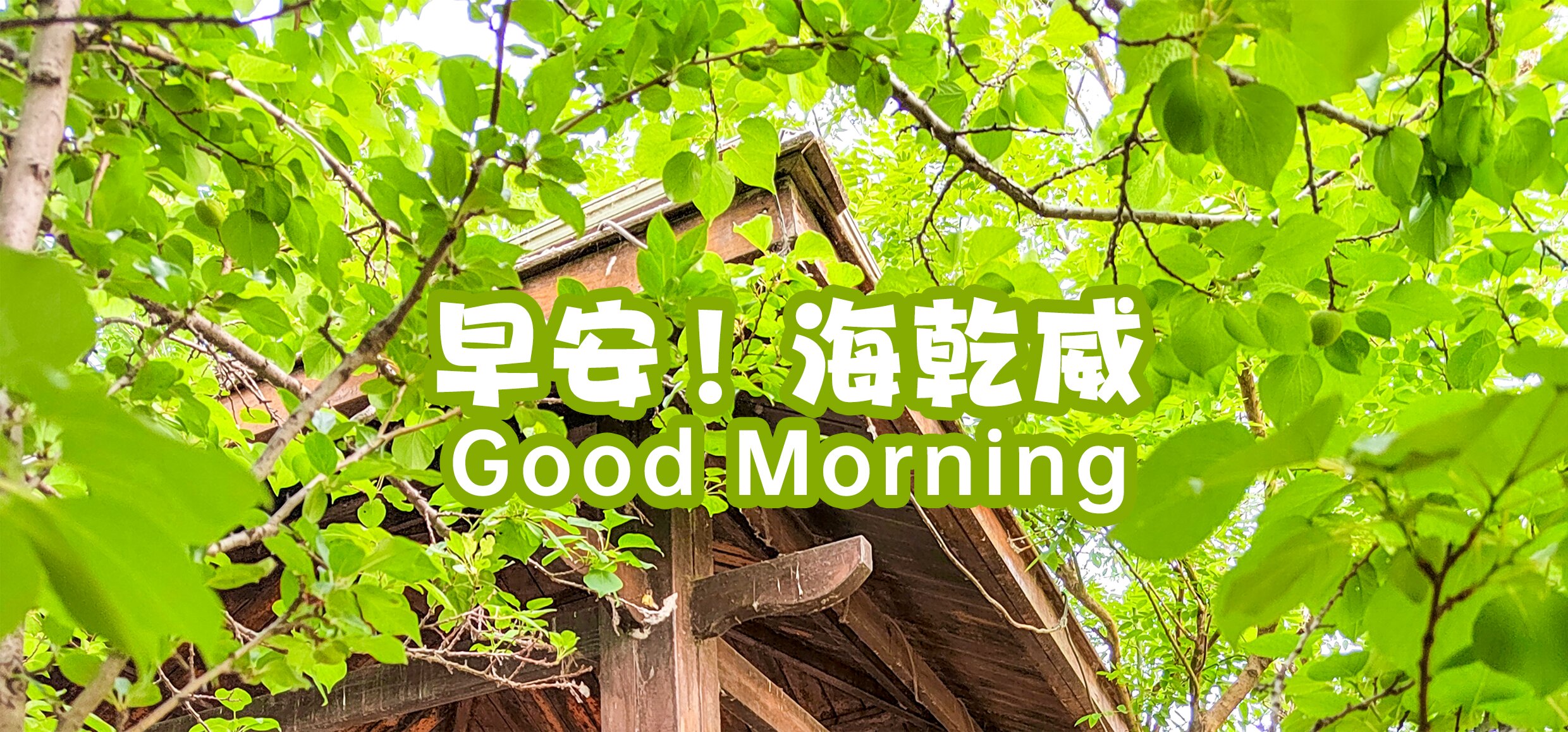 早安！海乾威    