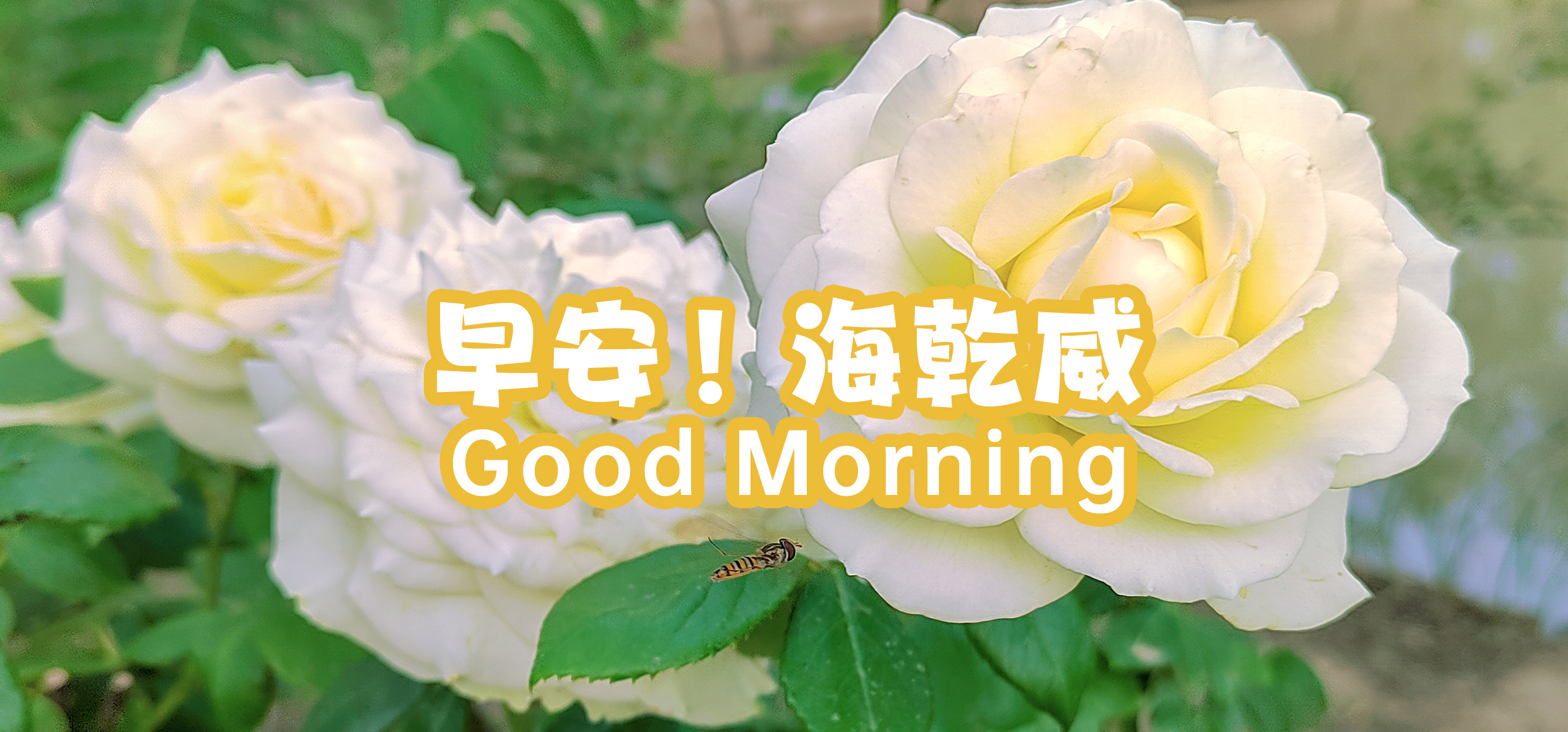 早安！海乾威【2025年05月18日】    