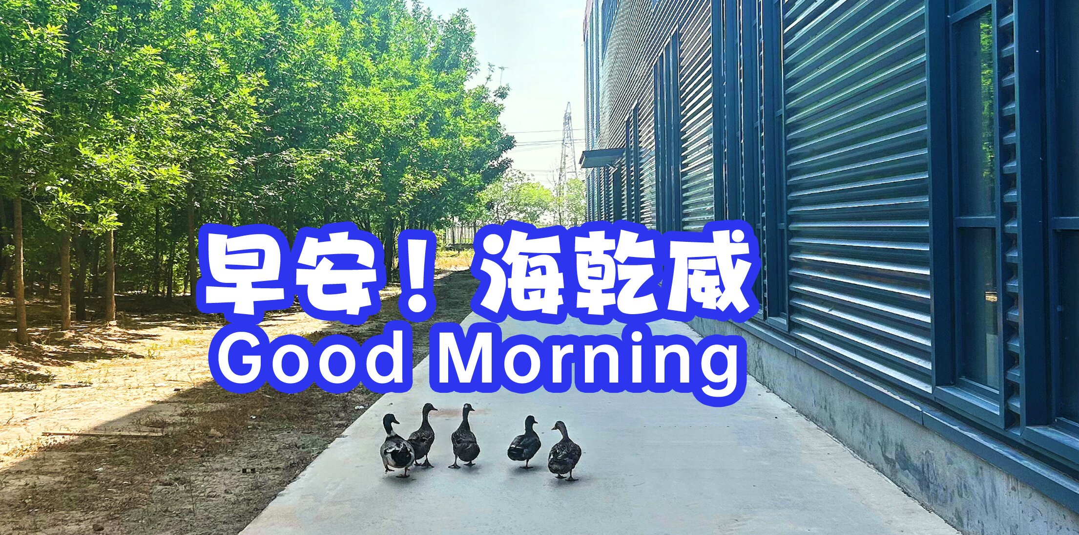 早安！海乾威【2025年05月19日】    