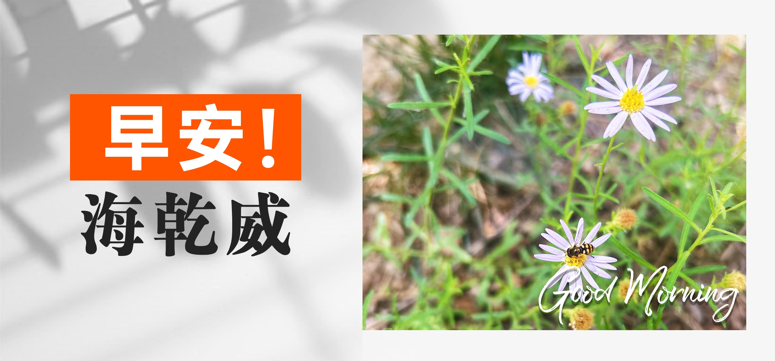 早安！海乾威【2025年05月20日】    