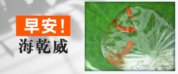 早安！海乾威丨涸辙之鲋，亦有春风【2025年06月14日】    
