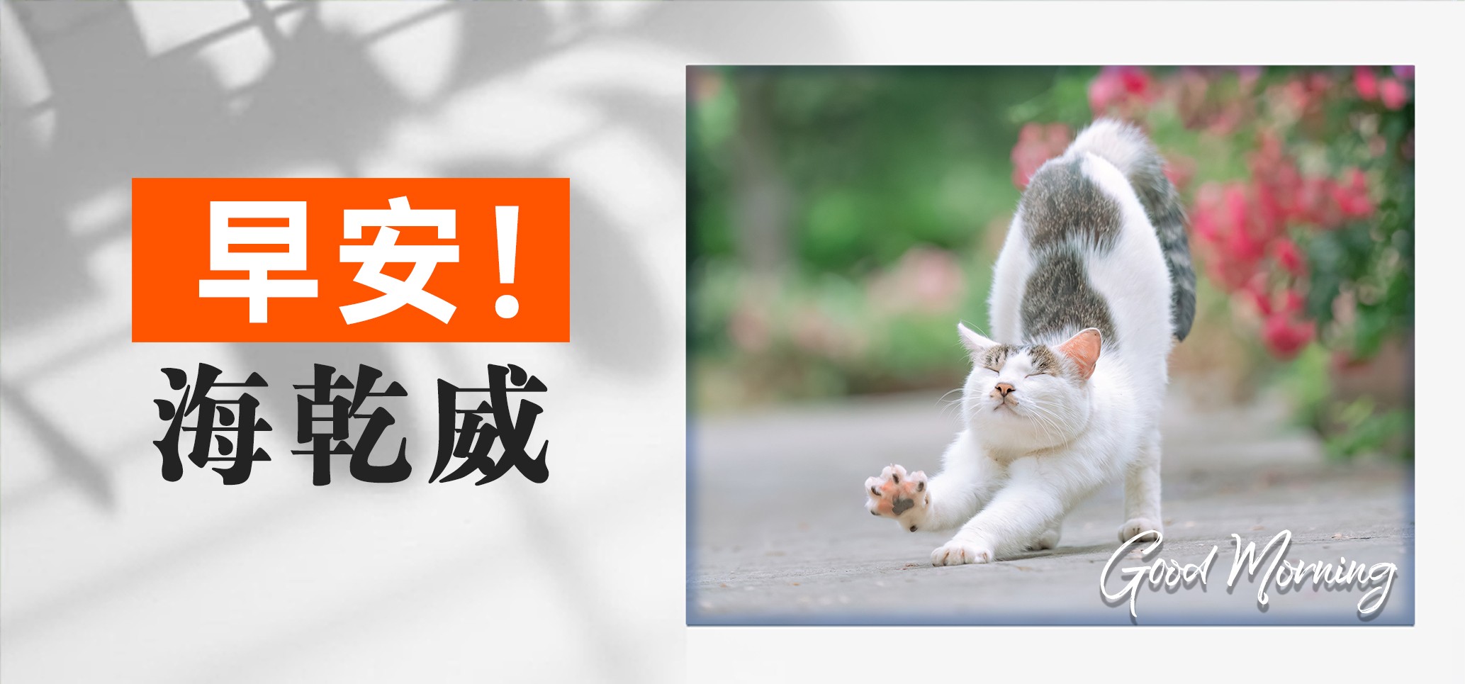 早安！海乾威丨猫式早安哲学：伸个懒腰重启人生【2025年06月19日】    