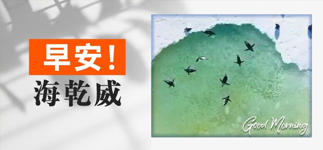 早安！海乾威丨海洋小燕子上线啦！【2025年06月26日】    