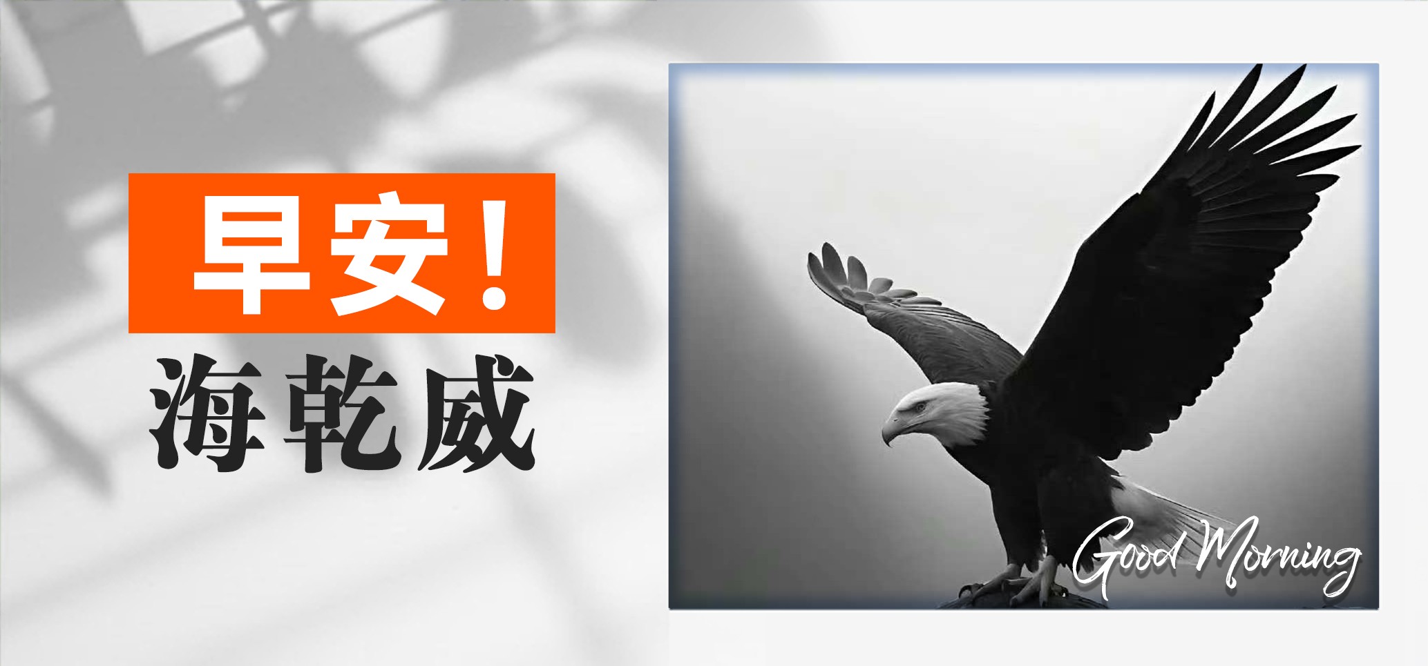 早安！海乾威丨雄鹰破晓，锐意启新~【2025年06月30日】    