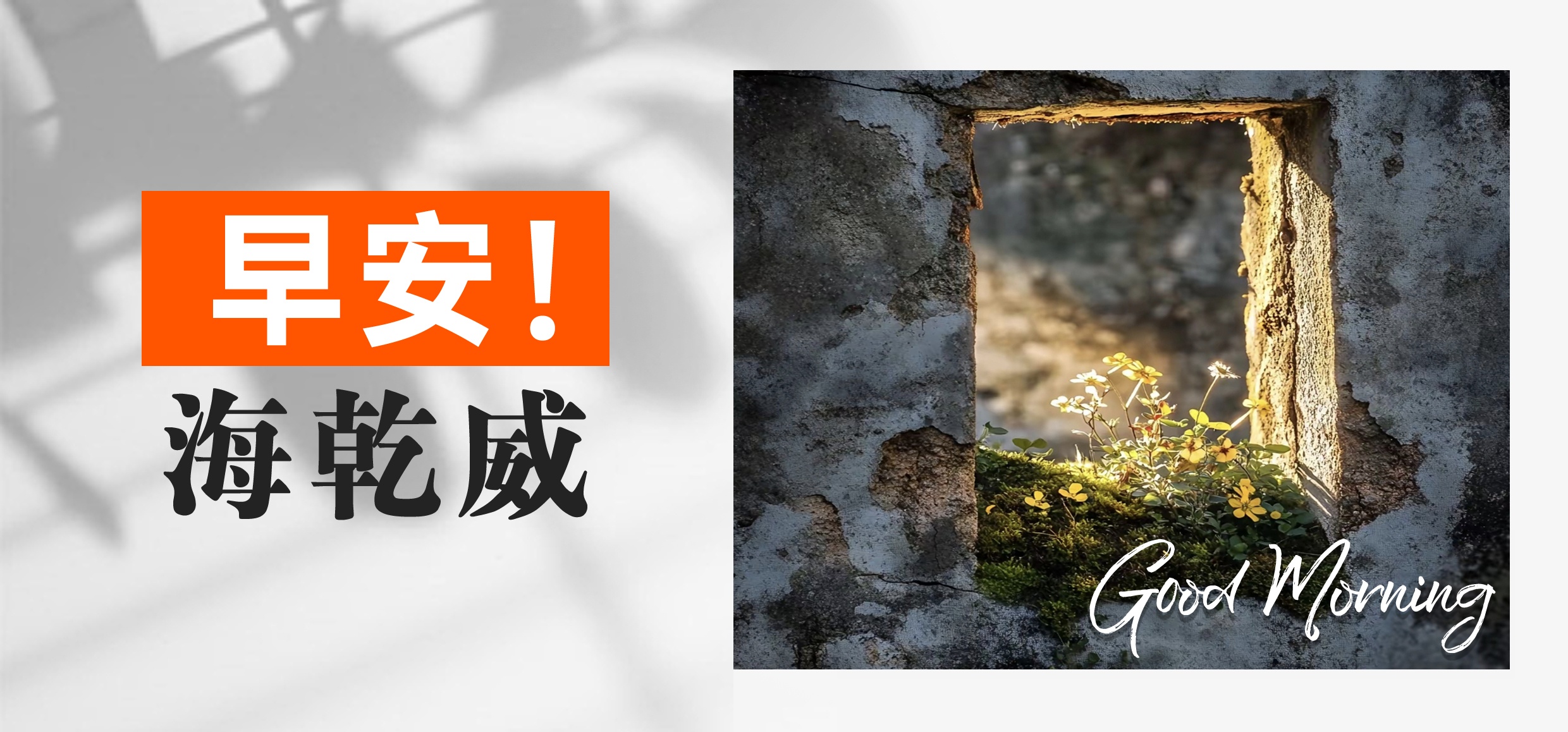 早安！海乾威丨光与影的私语【2025年7月7日】    
