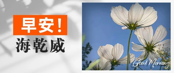 早安！海乾威丨心之所向，自成光芒【2025年7月29日】    