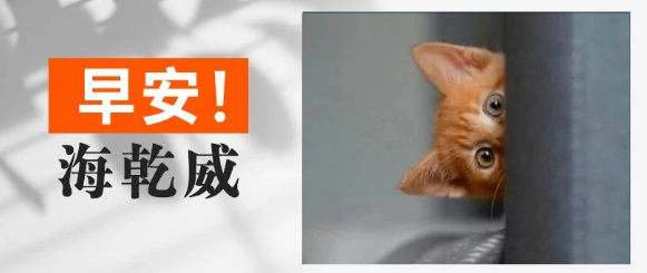 早安！海乾威丨做梦想到一个赚钱的好点子【2025年8月24日】    
