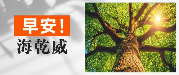 早安！海乾威丨用年轮沉淀专业，以枝叶传递价值【2025年8月27日】    
