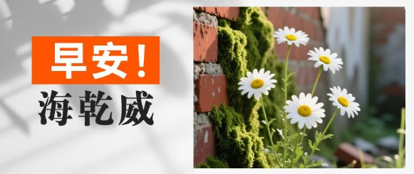 早安！海乾威丨阳光不会忘记那颗掉落在角落的种子【2025年10月16日】    