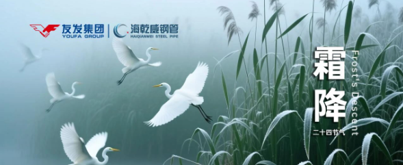 霜降至，暖意浓 | 友发海乾威钢管与您共赴深秋之约    