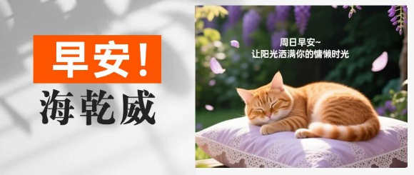 早安！海乾威丨让阳光洒满你的慵懒时光【2025年11月2日】    