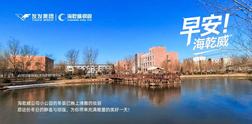 早安！海乾威丨海乾威公司小公园一隅，愿这份静谧与顽强为你带来充满能量的美好一天【2025年12月22】    